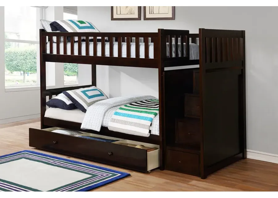 Harlow Bunk Bed w/ Trundle in Espresso, Twin/Twin