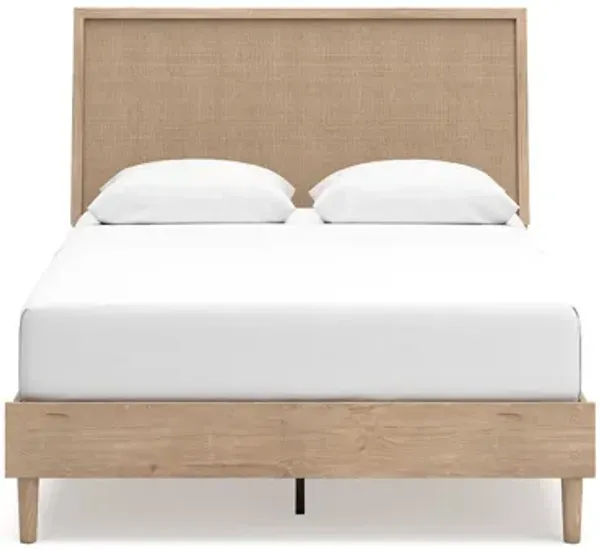 Cielden Panel Bed in Tan, Queen