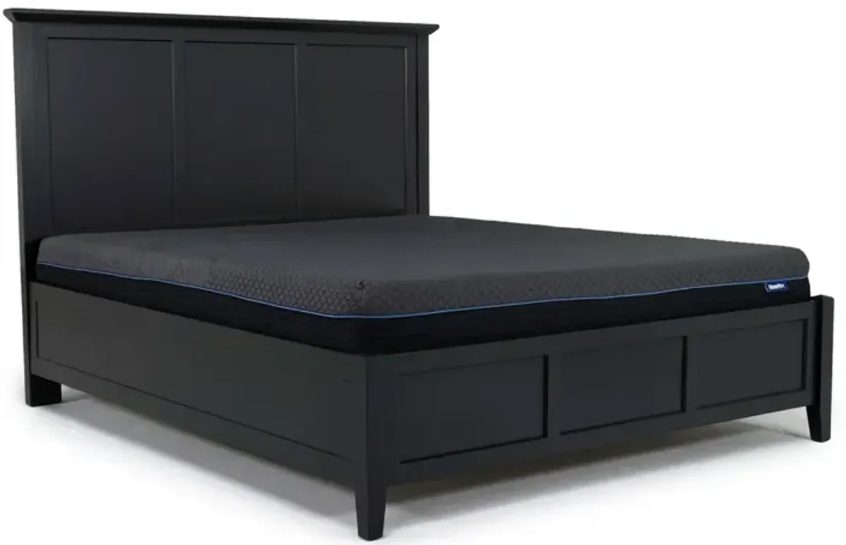 Grace Panel Bed in Raven, CA King