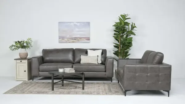 Hank Sofa & Loveseat in Badlands Cinerous