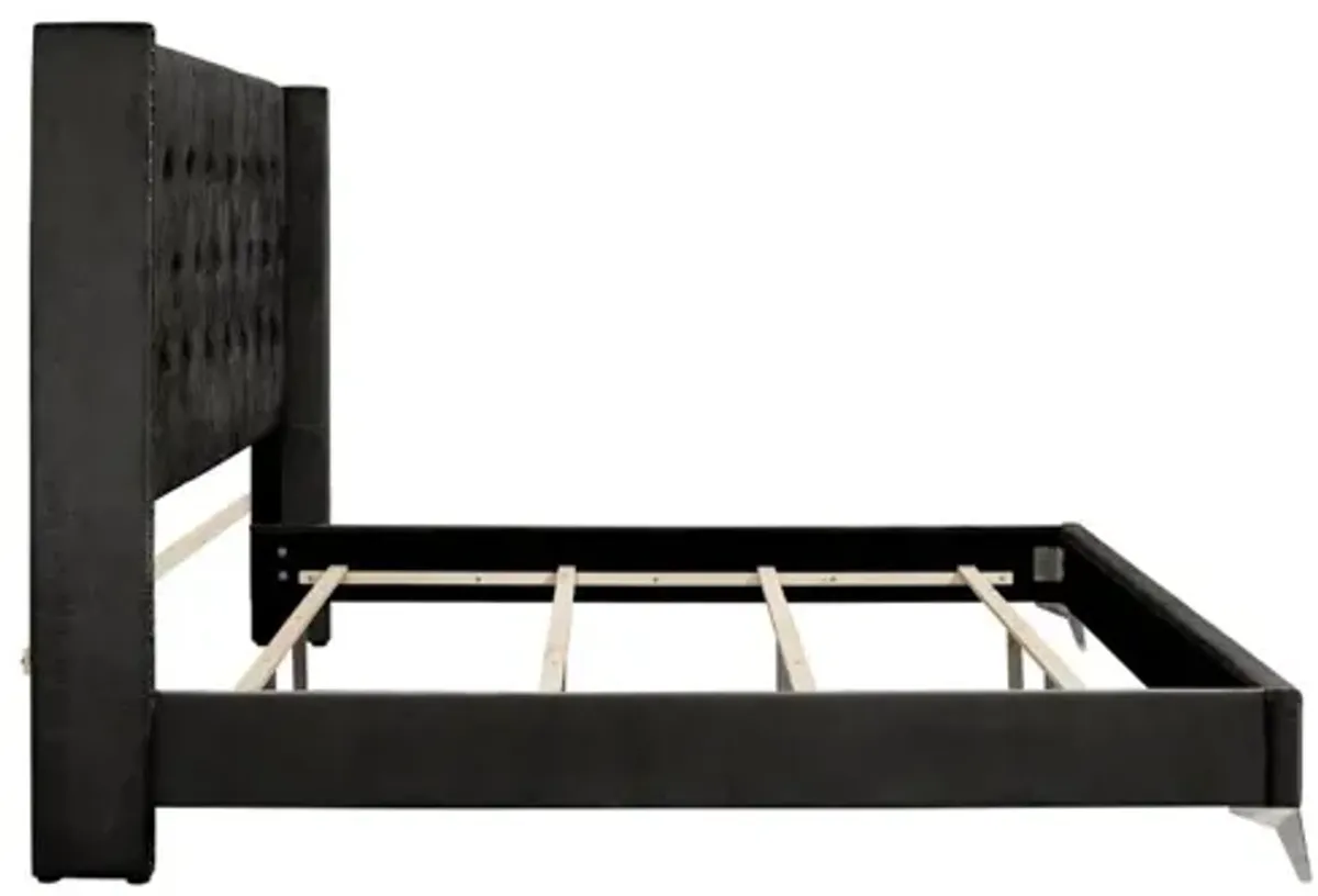 Huxley Panel Bed in Black, CA King