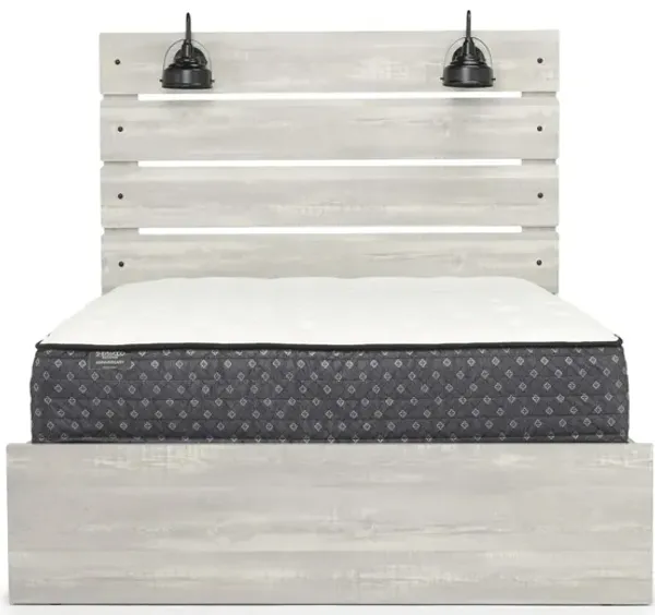 Dallas Panel Bed w/ Lights in White Wash, Queen