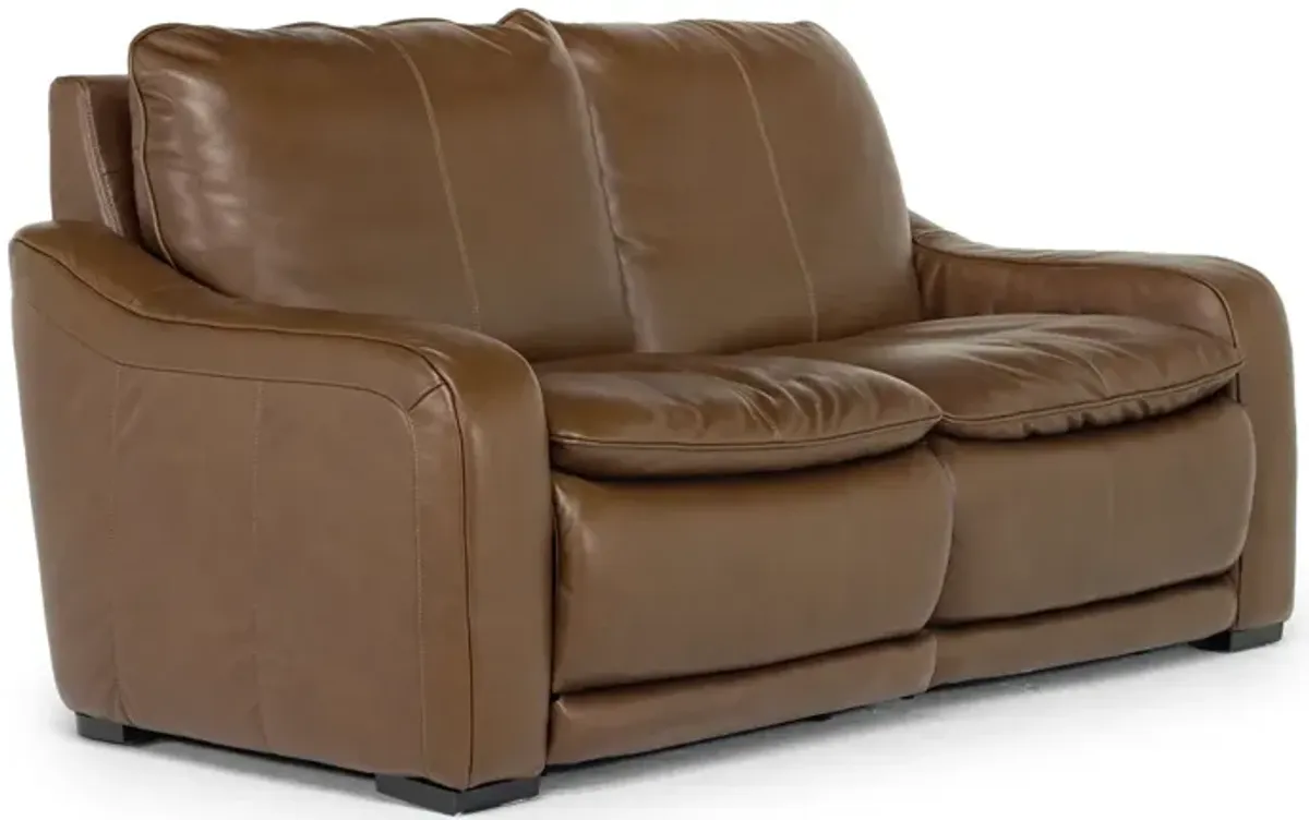 Paradise 2 Power Loveseat in Chestnut Leather