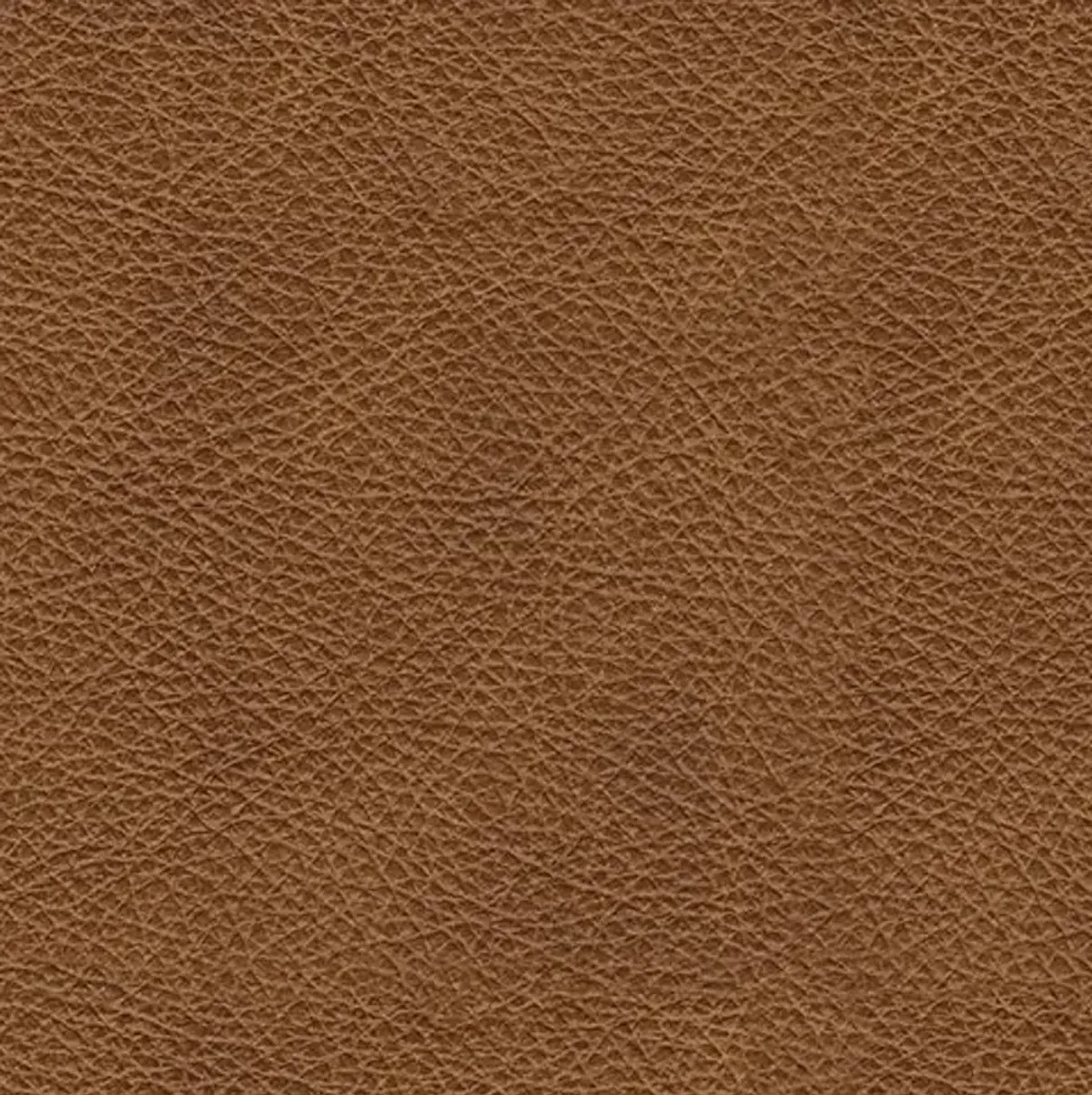 Carianna Leather Sofa