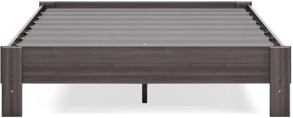 Brymont Queen Platform Bed