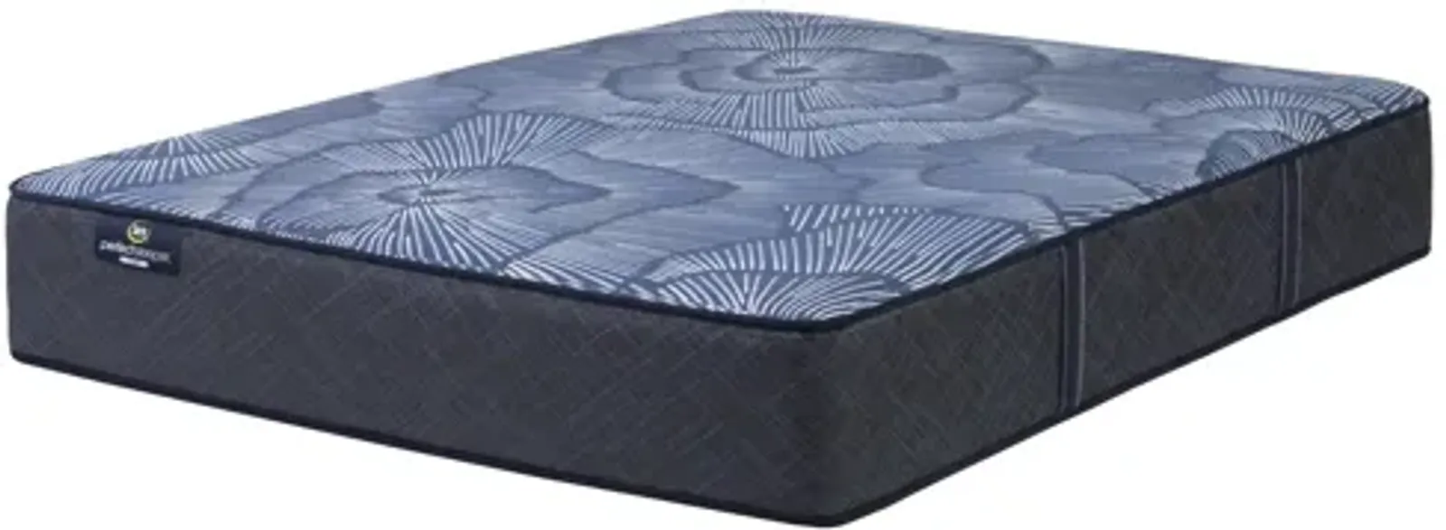 Endearing Nights Plush Full Mattress