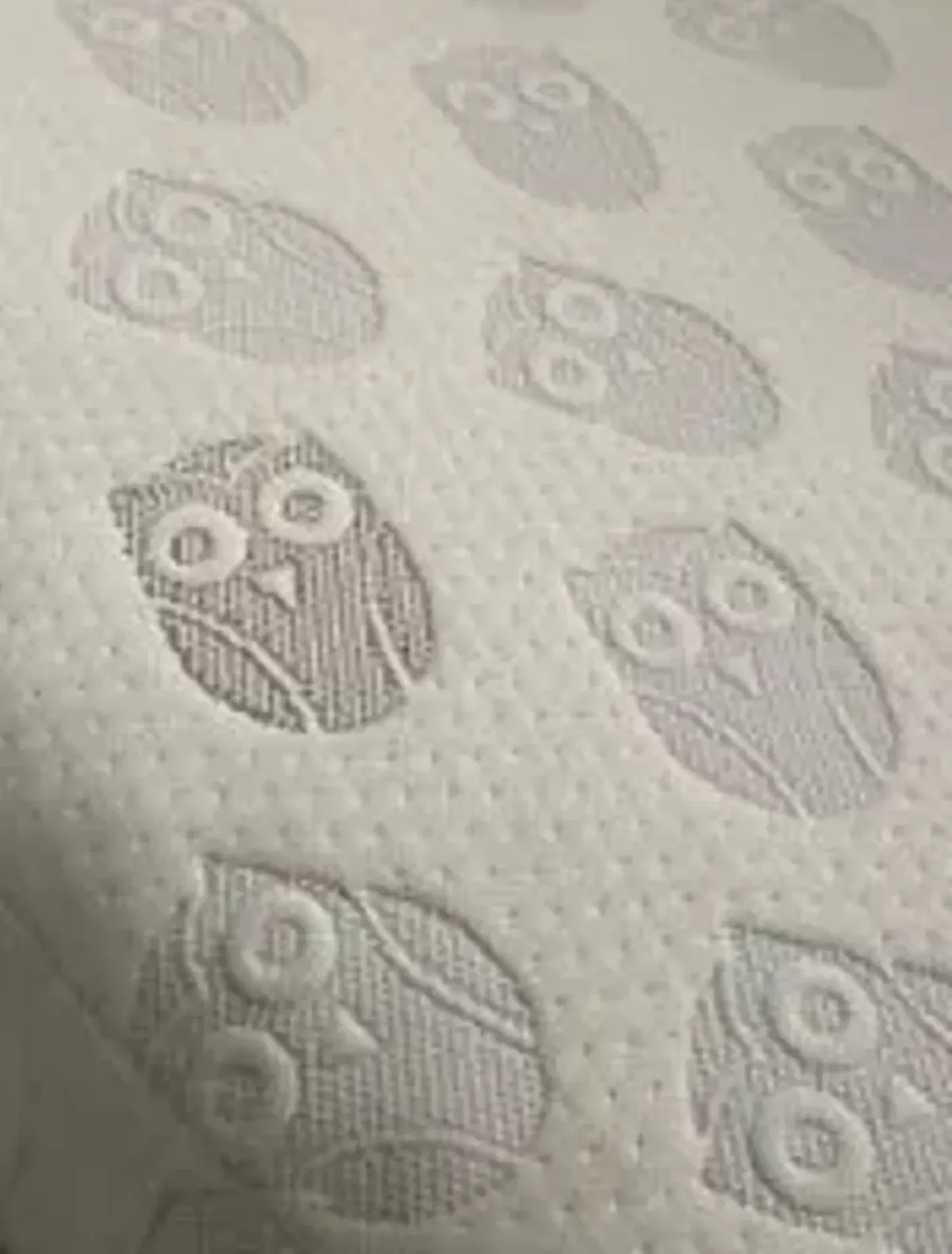 Dual Sided Crib Mattress