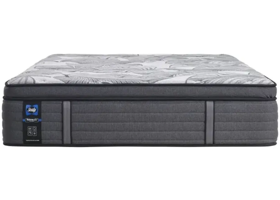 Euclid Ave Medium Pillow Top Twin Mattress