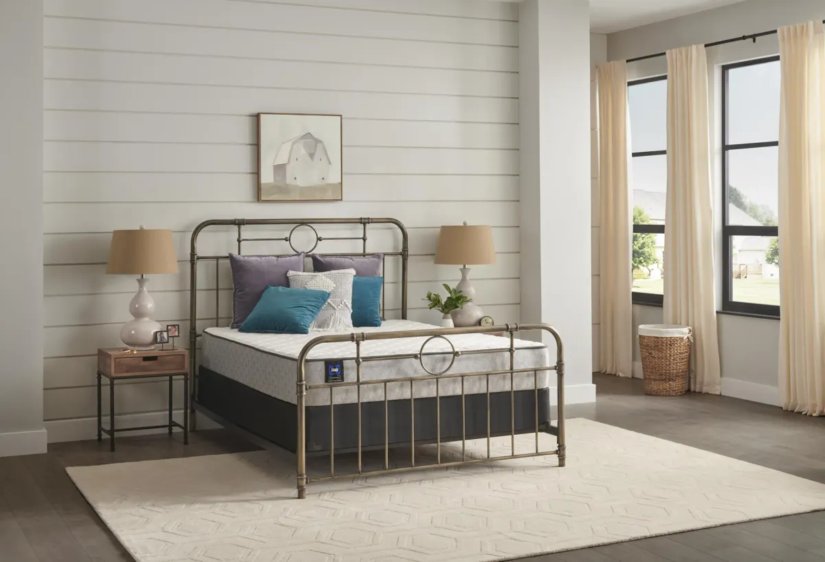 Risbury Firm Queen Mattress