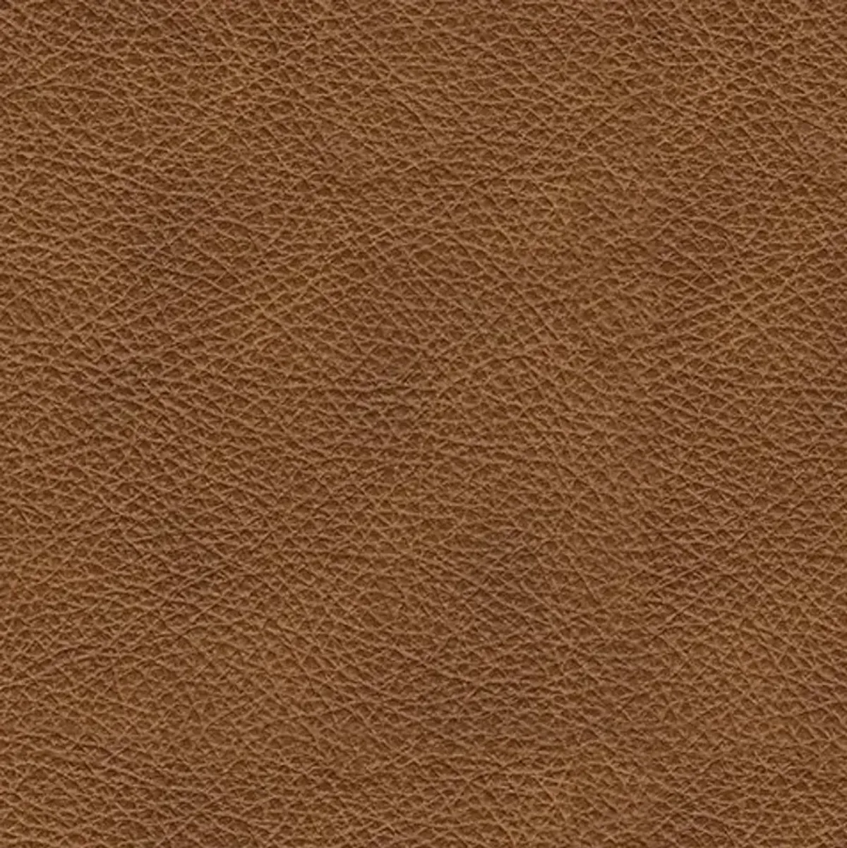 Emilia 5-Pc Leather Sectional