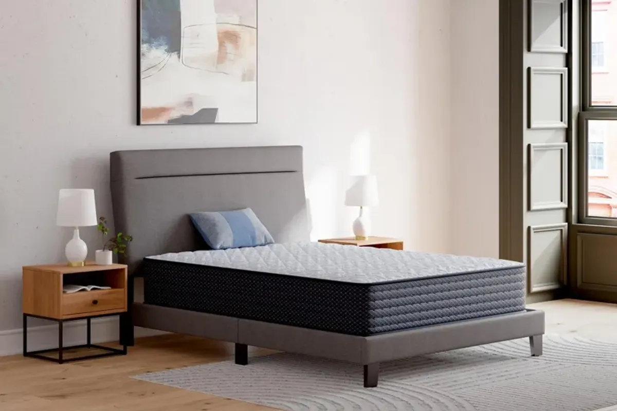 Anniversary Edition Firm Twin Mattress