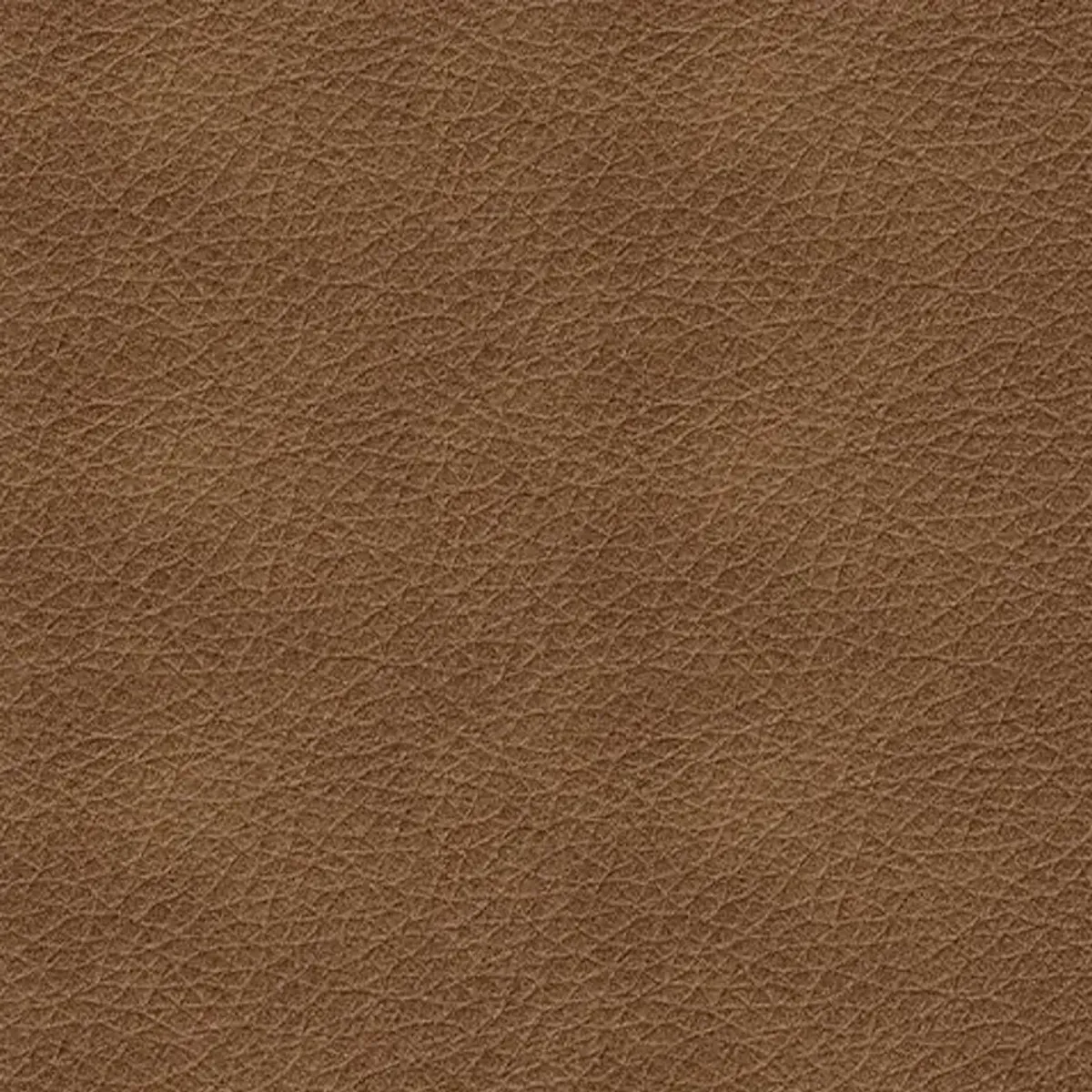 Bolsena Leather Loveseat
