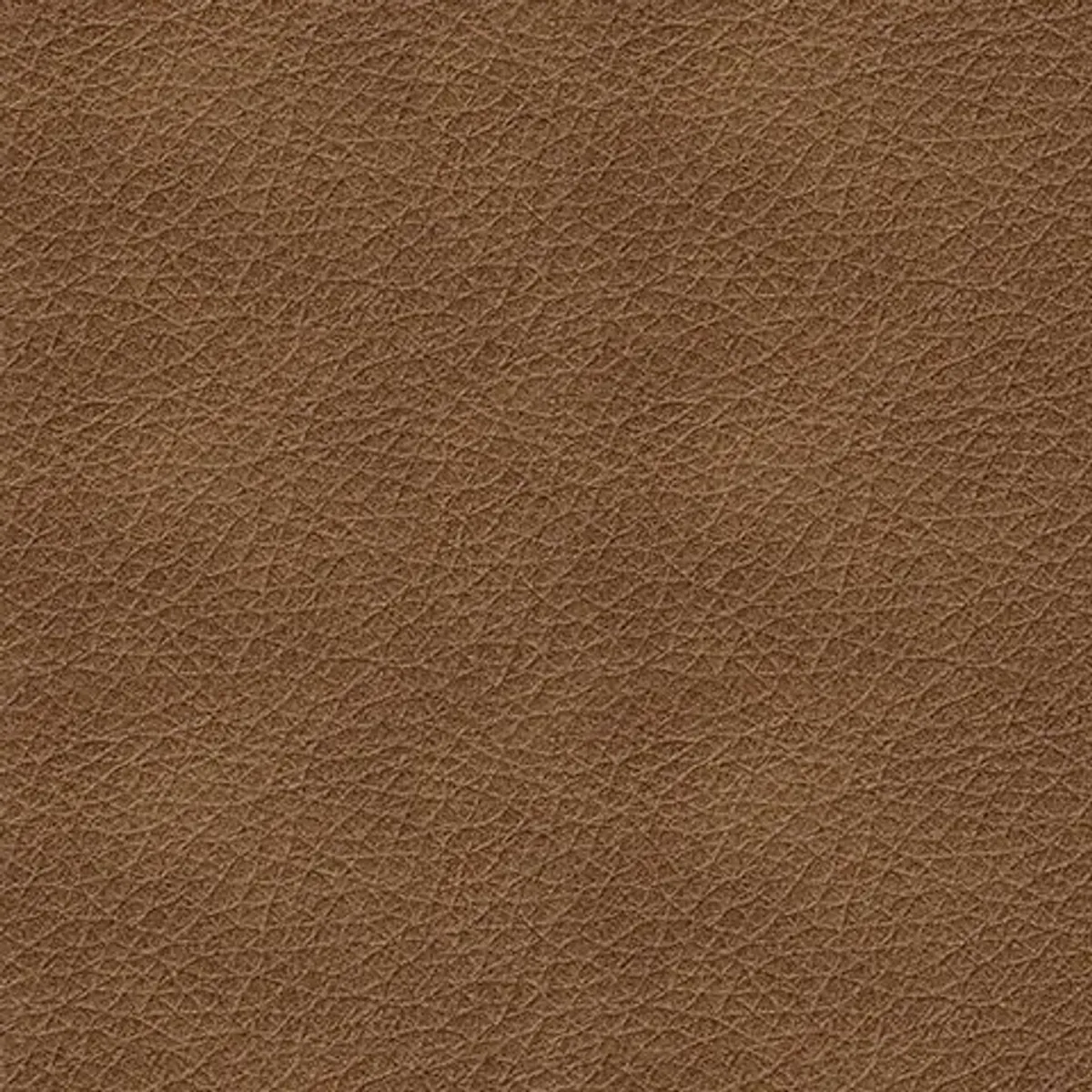 Trasimeno Leather Power Recliner