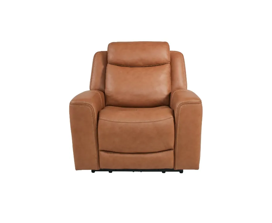 Davidson Power Leather Recliner