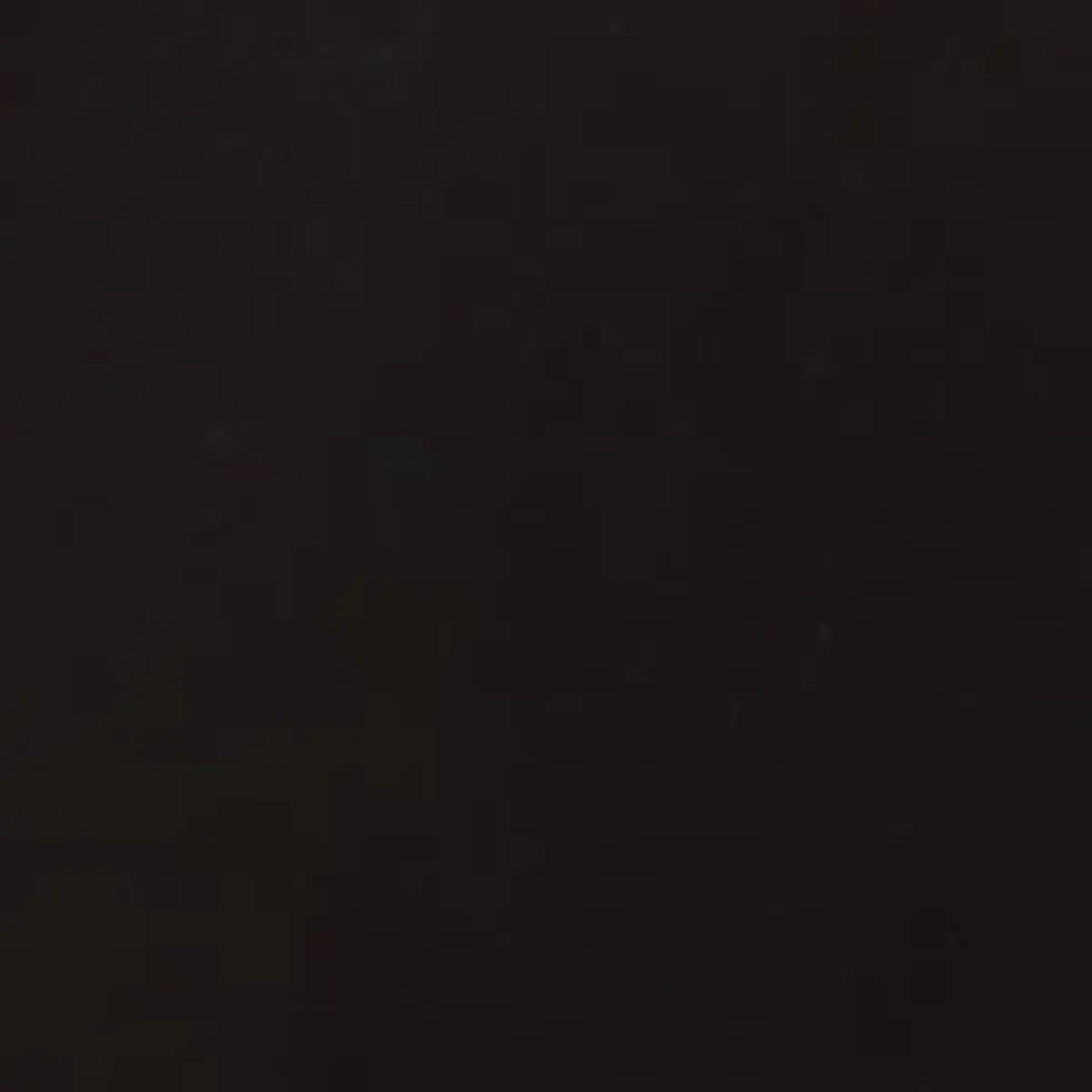 Wildnauer Dining Chair