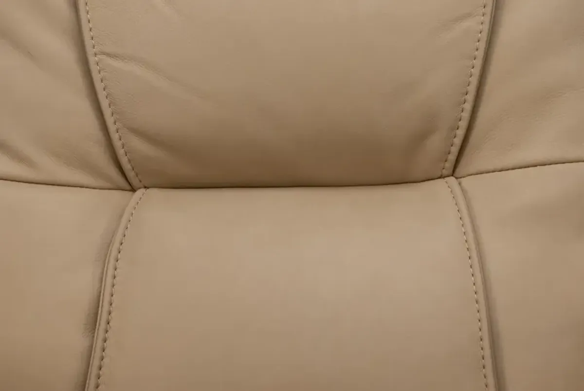 Raife Leather Zero Gravity Power Recliner