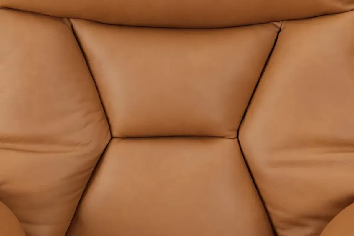 Euro Leather Wall Hugger Power Recliner With Ottoman