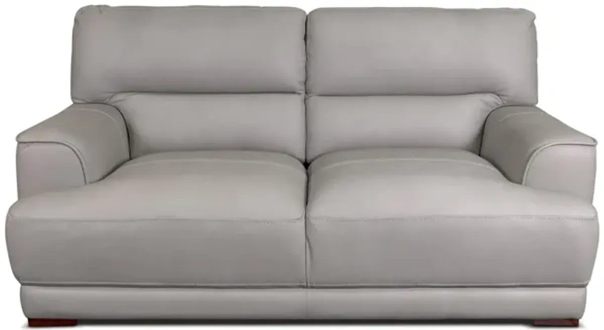 Beau Leather Loveseat