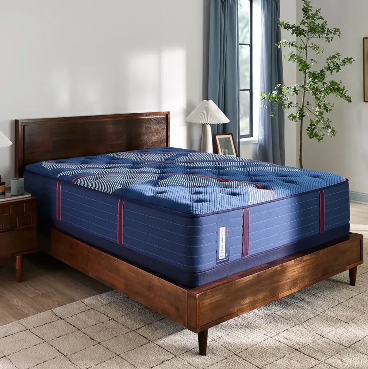 Albany Ii Firm Tt Mattress Cal King