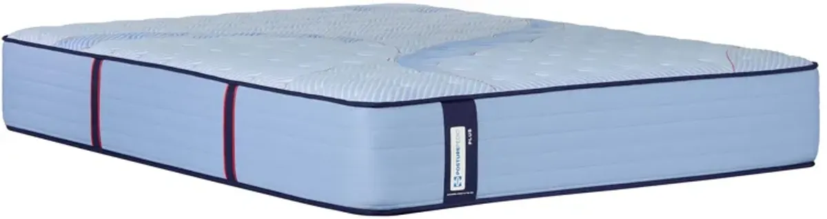 Ellie Lane Ultra Firm Tt Mattress Cal King