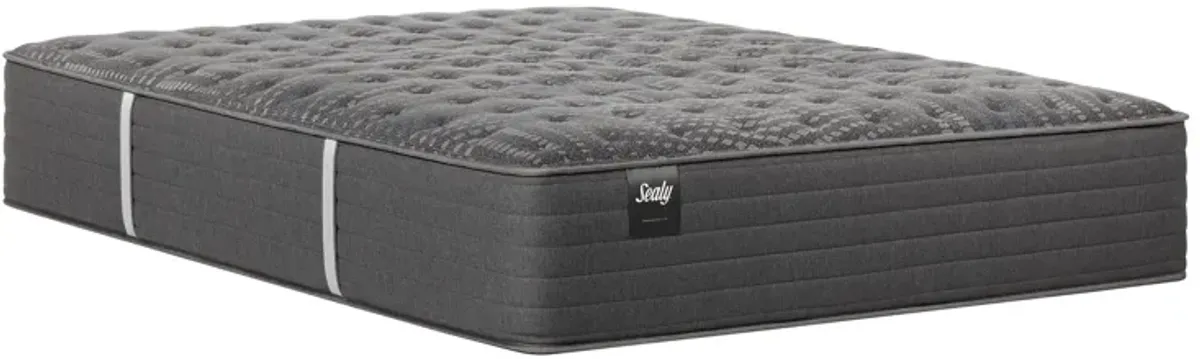 Princeton Ii Firm Tt Mattress King