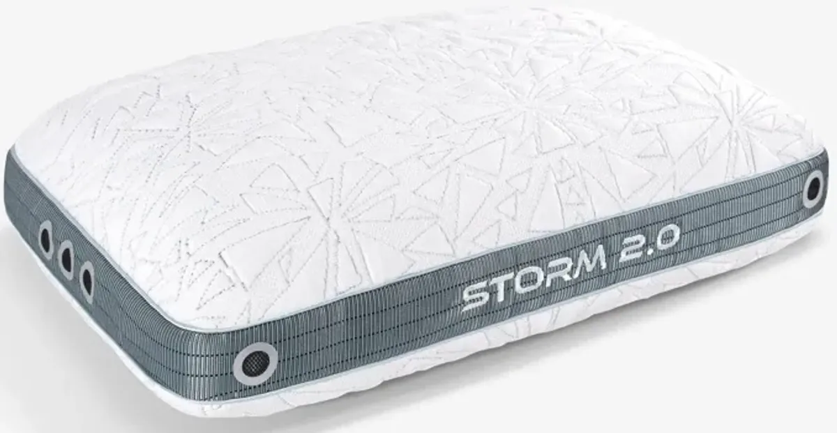 Bedgear Storm King Pillow 2.0