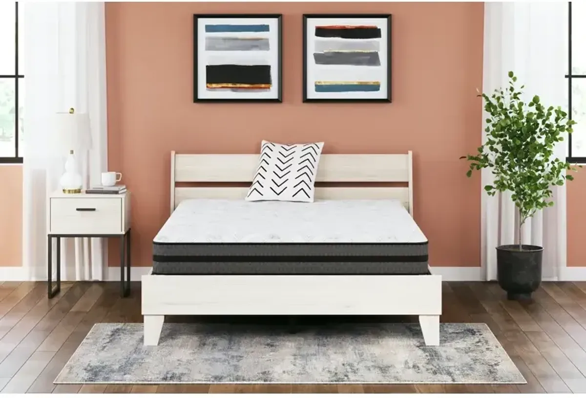 10 Inch Pocketed Hybrid Queen Mattress