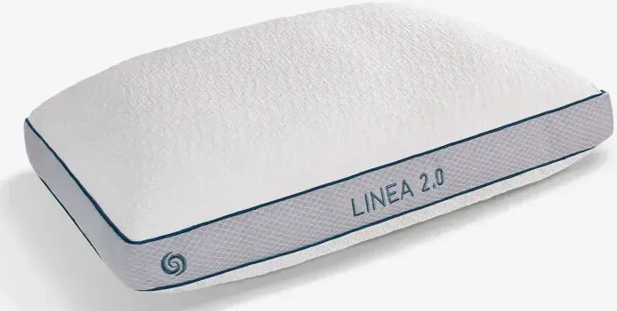 Linea 2.0 Pillow