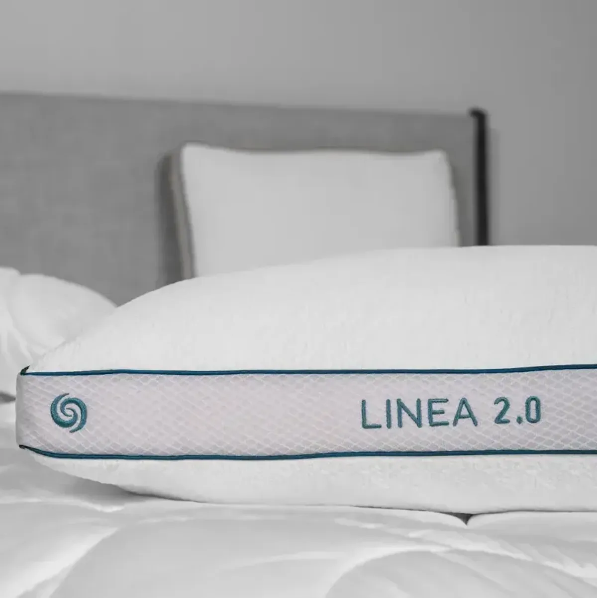 Linea 2.0 Pillow