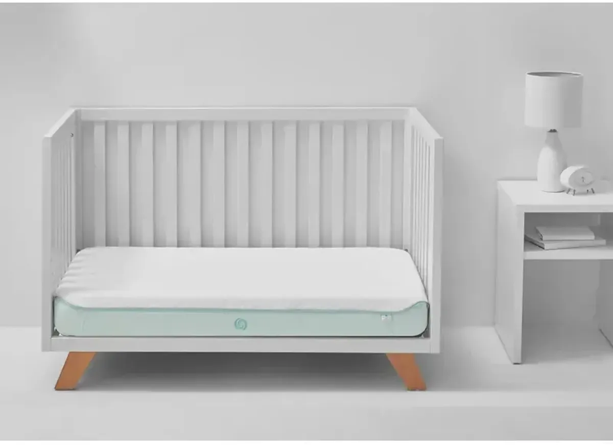 Dri-Tec Performance Crib and Toddler Mattress