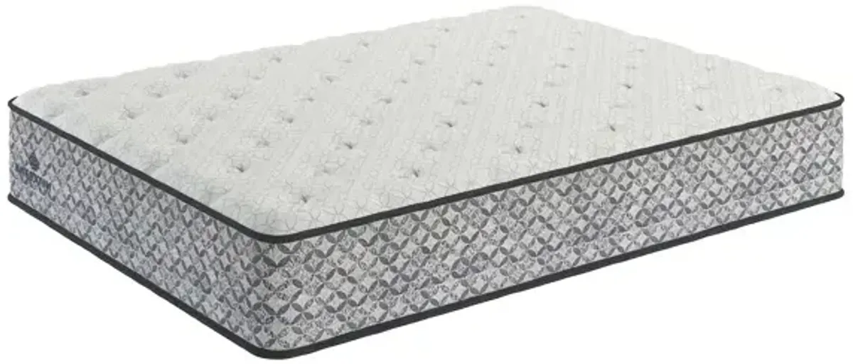 Nuovo Plush 11.5" Mattress