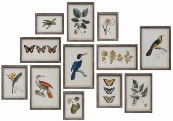 Wood Framed Glass Wall Dcor with Insects, Birds, Plants and Fruit, Set of 12
