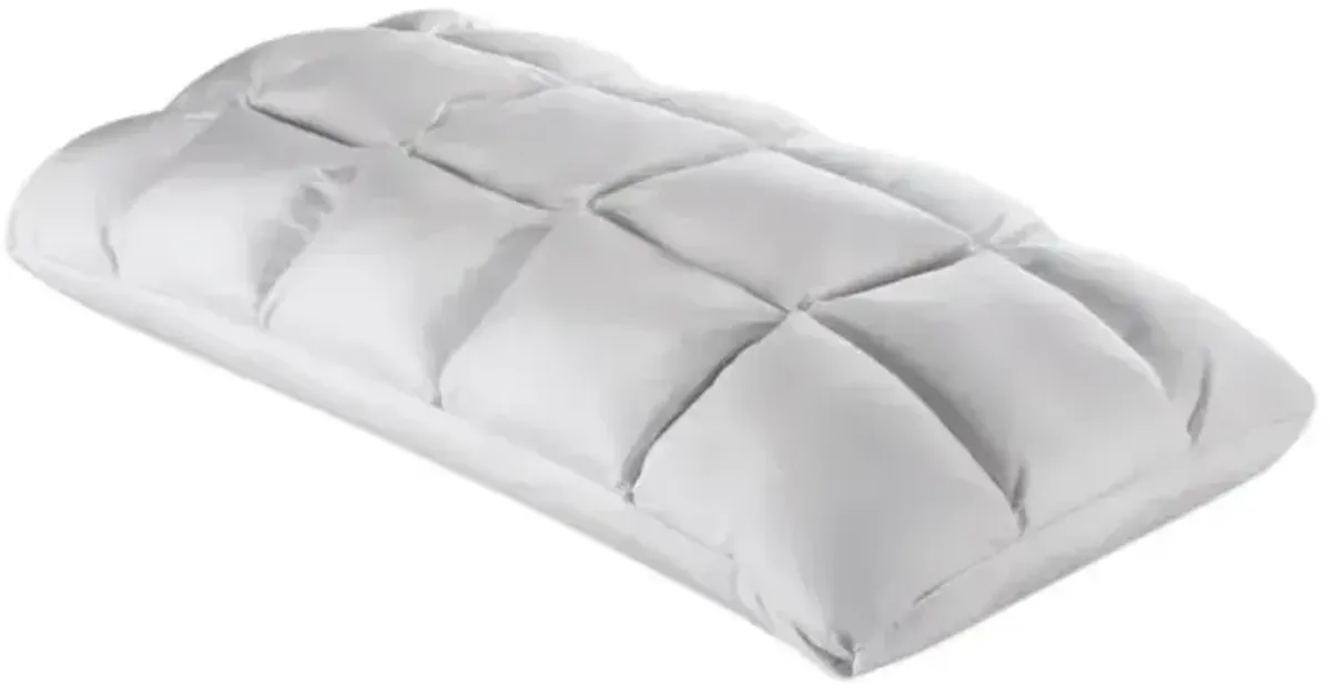 Cooling SoftCell Chill Pillow - Queen