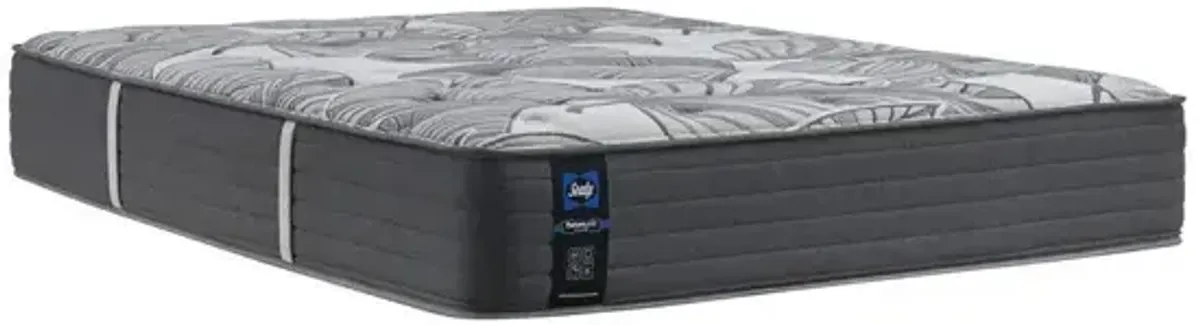 Euclid Avenue Ultra Firm Mattress