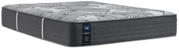 Euclid Avenue Ultra Firm Mattress