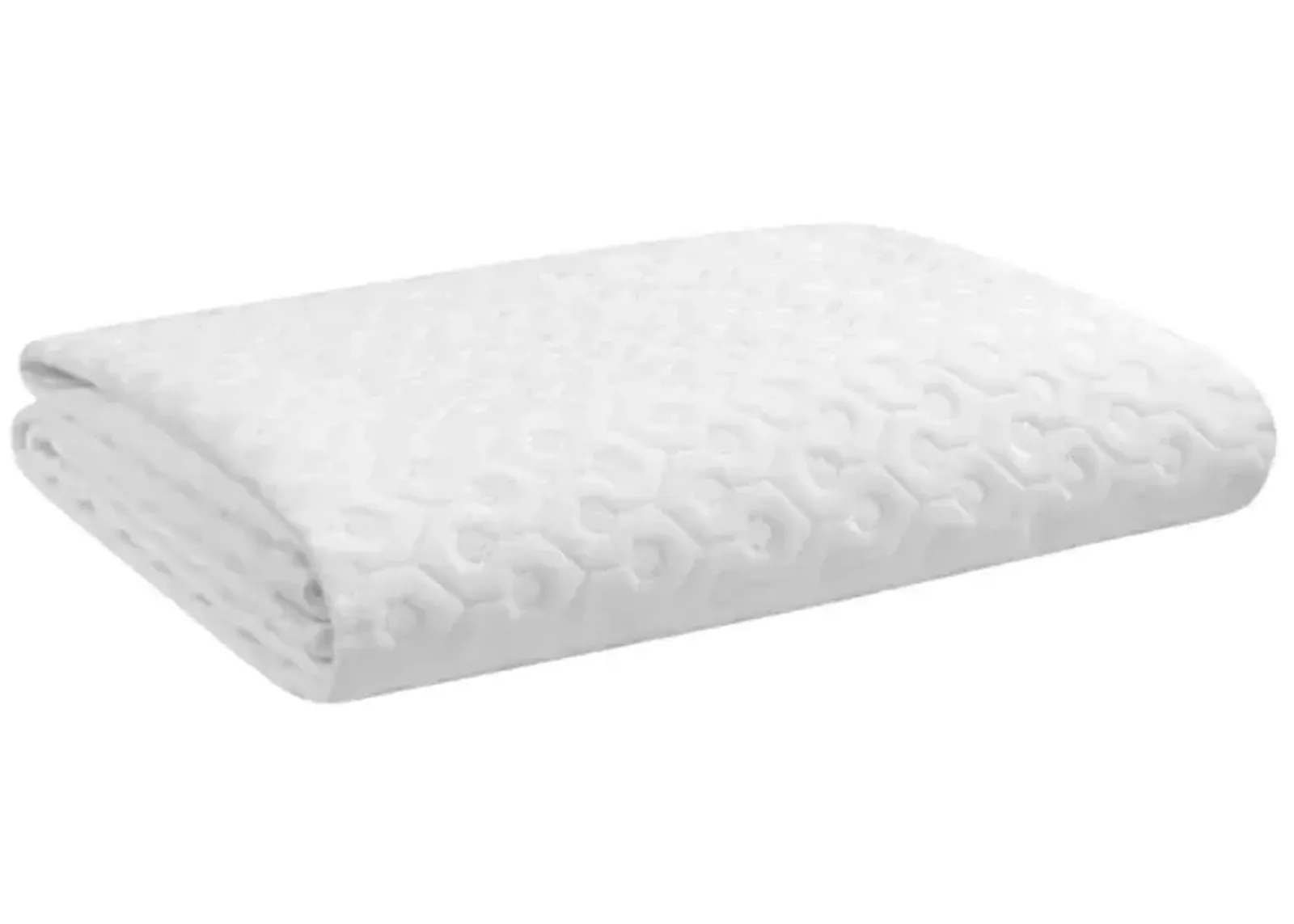 Dri-Tec Sofa Bed Mattress Protector-Twin