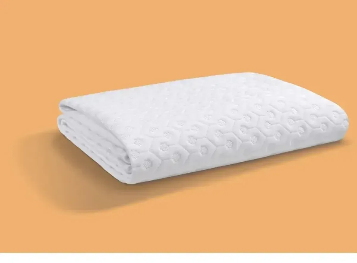 Dri-Tec Mattress Protector