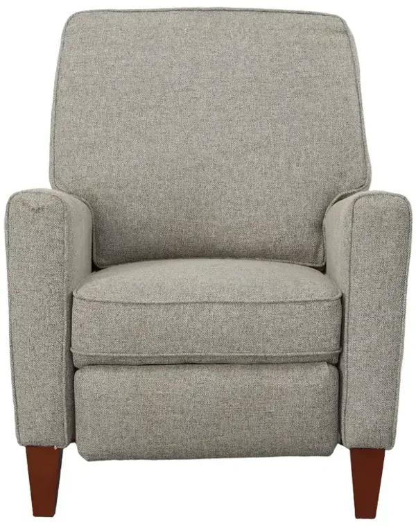 Collegedale Power Recliner