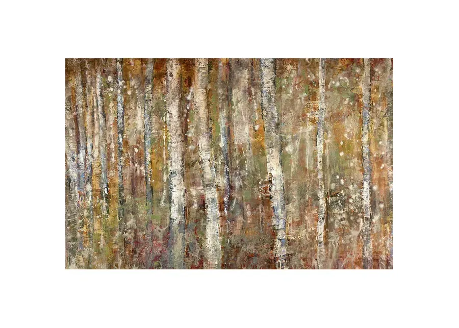 Birch Forest