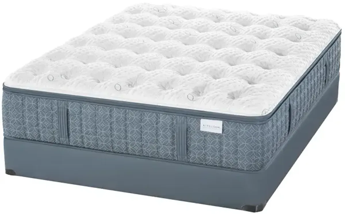 Streamline Firm 10" Mattress