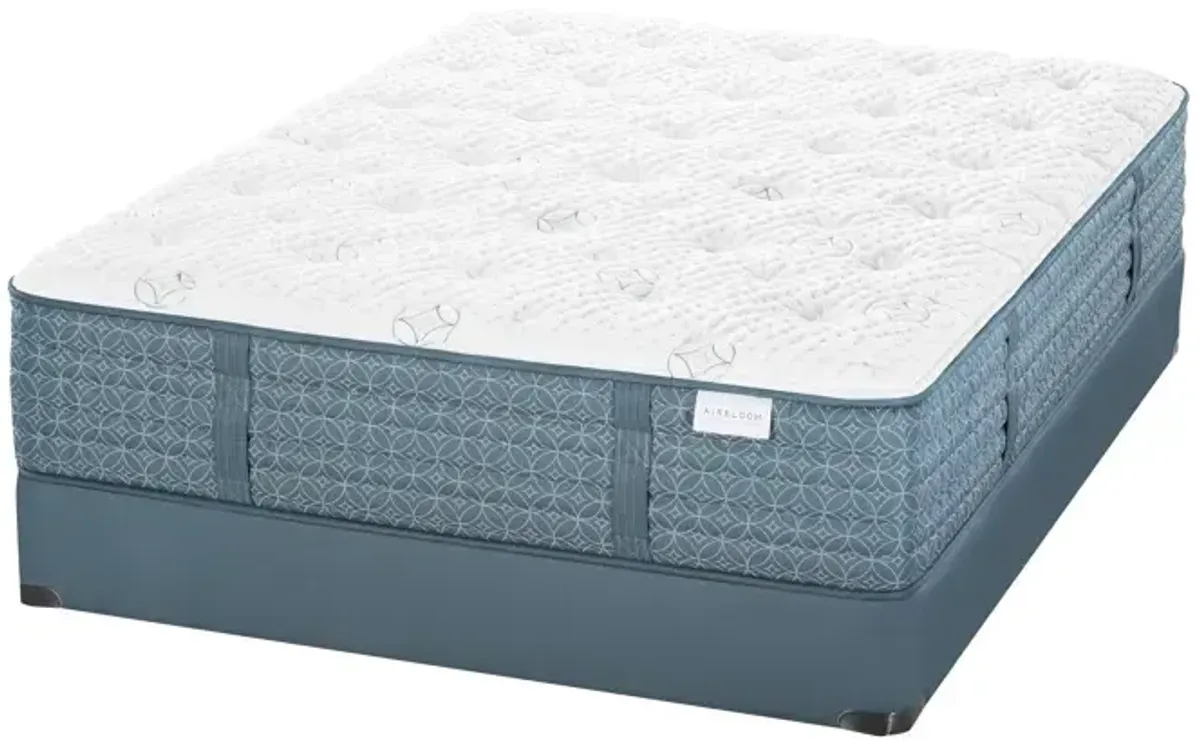 Pacific Palisades Euro Top Firm Mattress