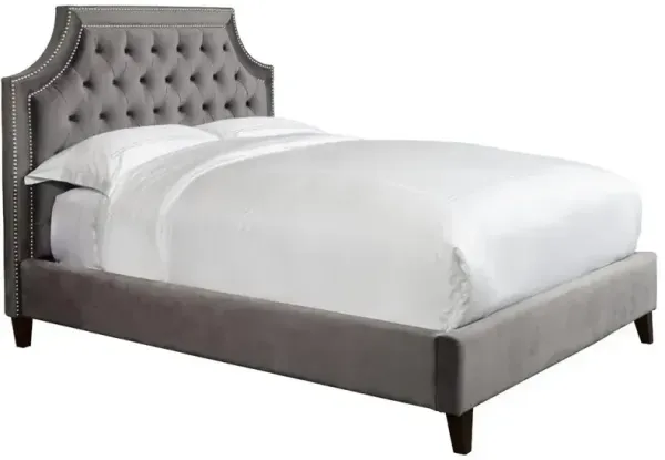 Jasmine - Flannel Grey King Bed