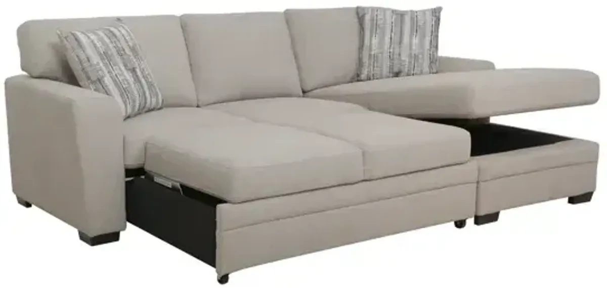 Dove 2 PC Sleeper Sectional Sofa