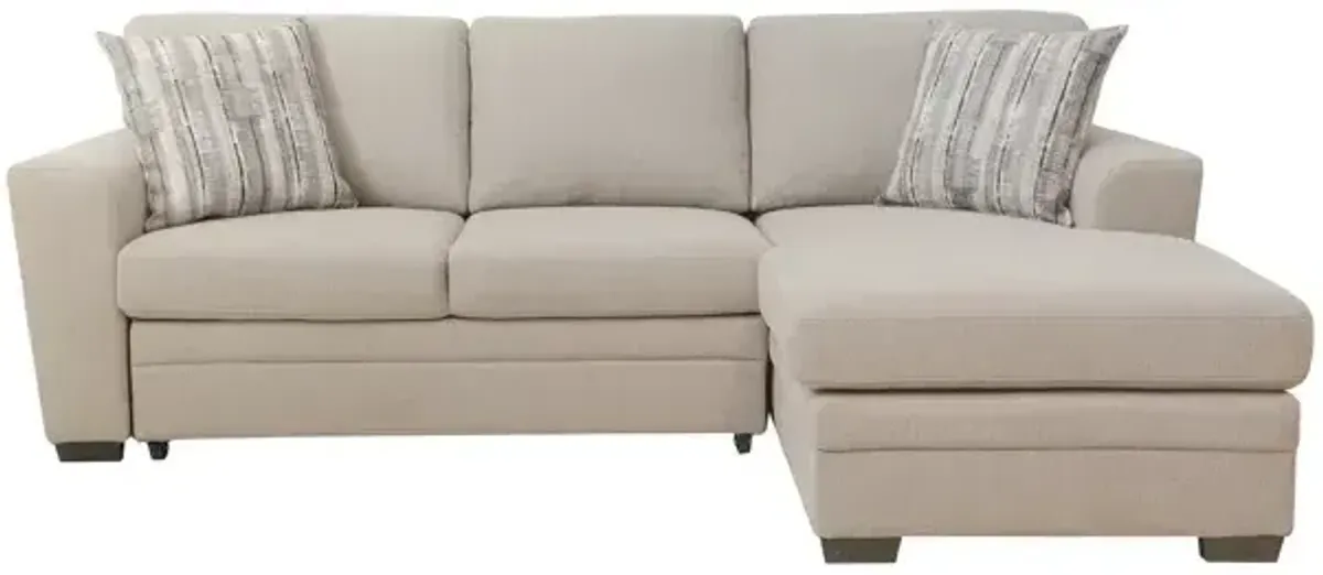 Dove 2 PC Sleeper Sectional Sofa