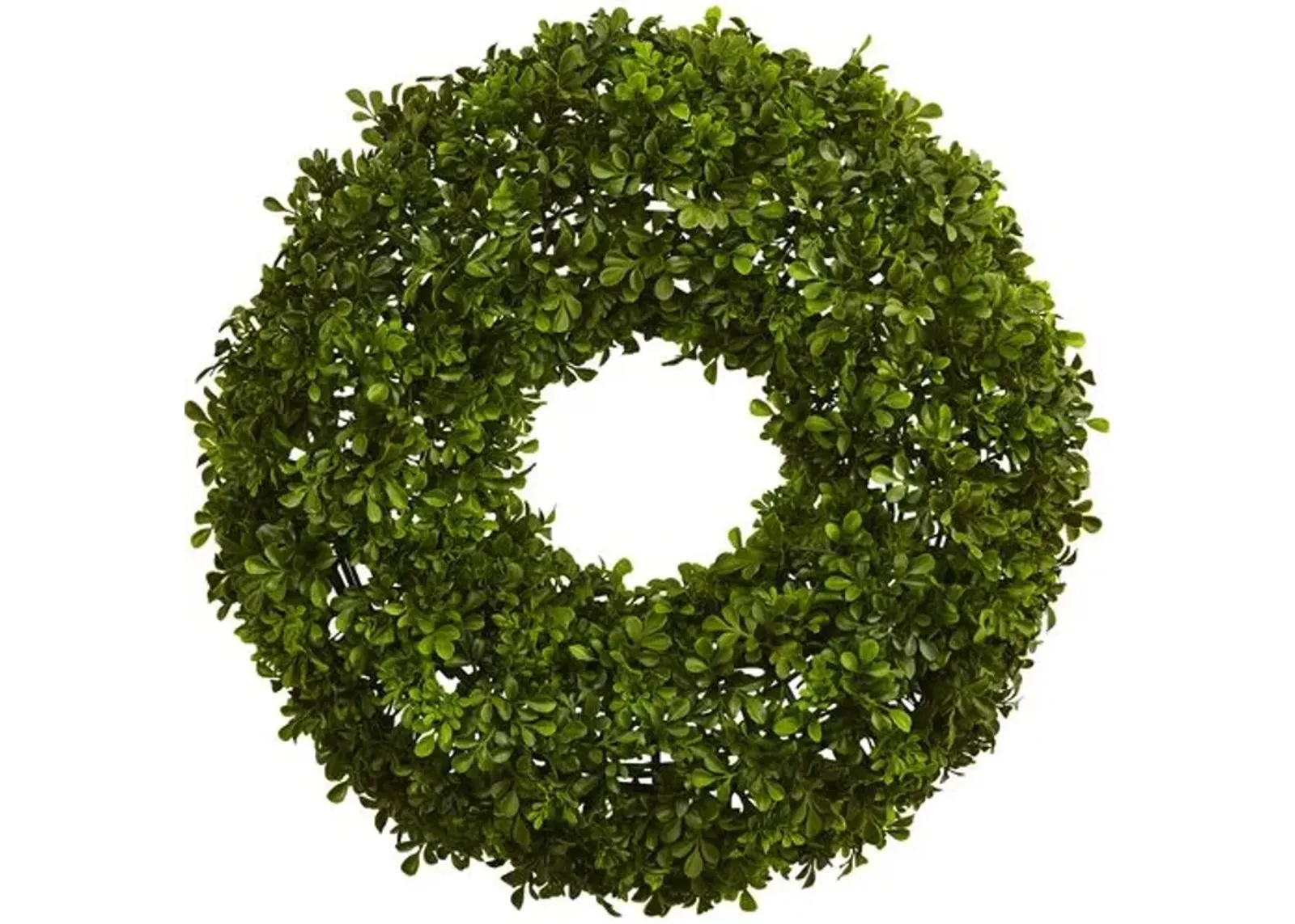 22" Boxwood Wreath - Green