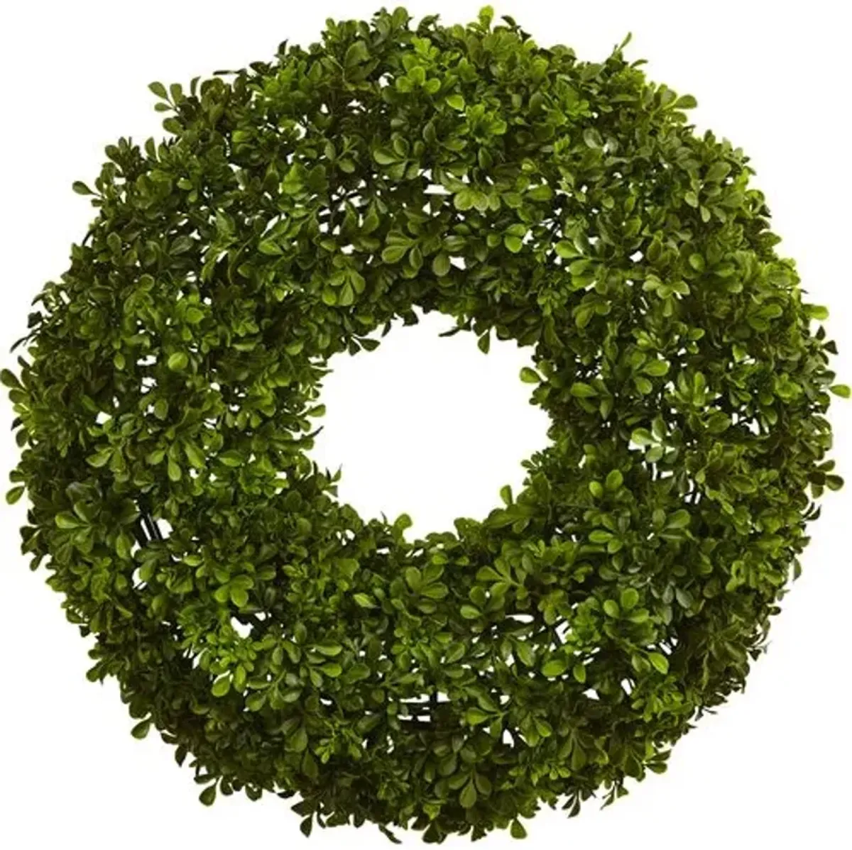 22" Boxwood Wreath - Green