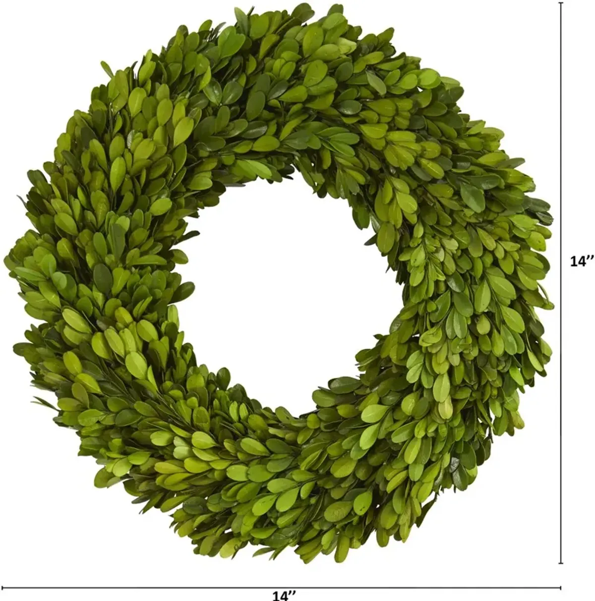 14" Preserved Boxwood Wreath