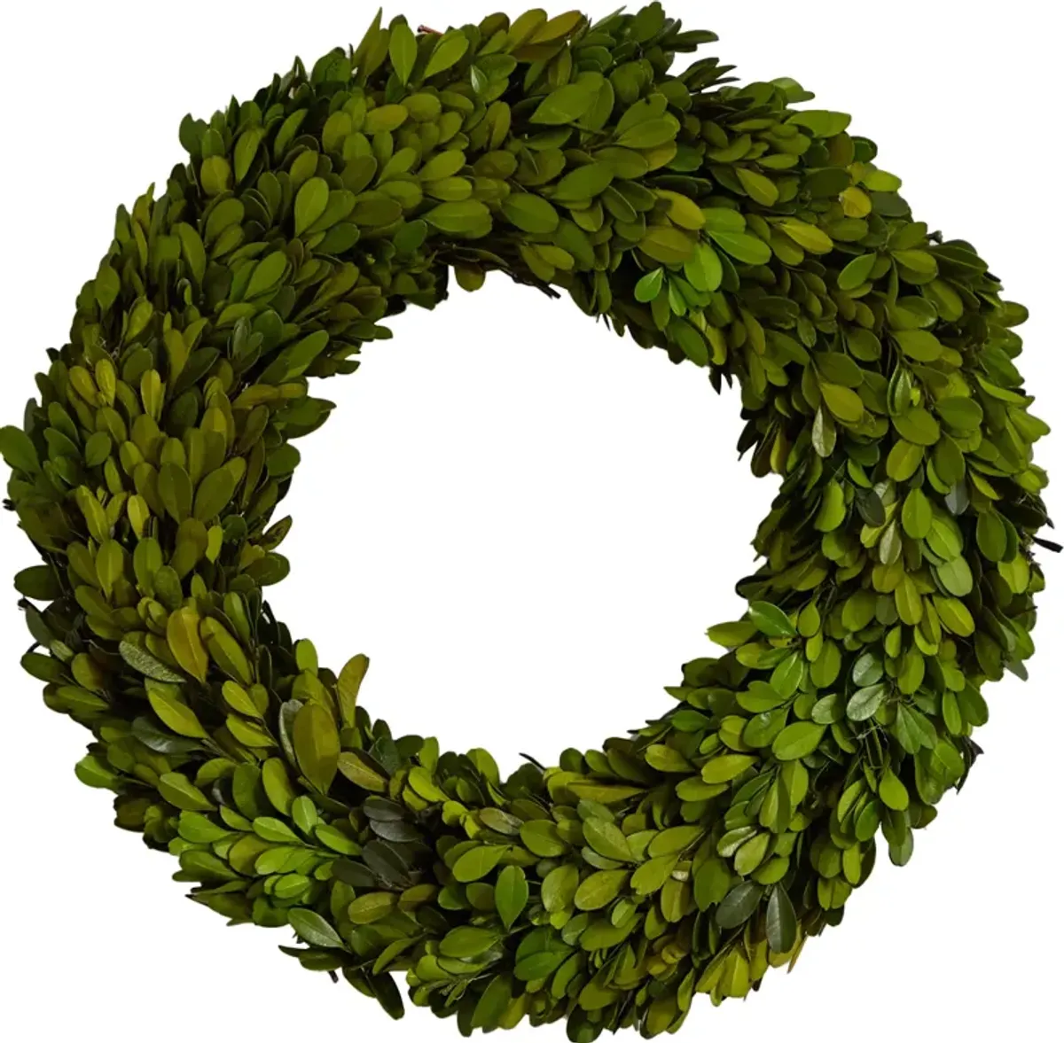 14" Preserved Boxwood Wreath