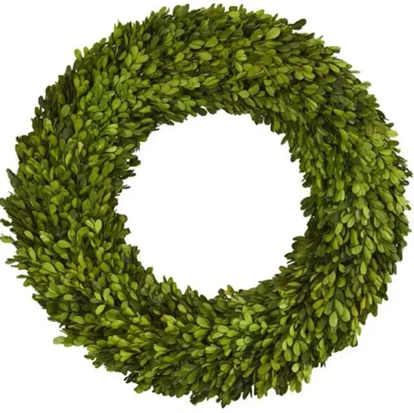 24" Preserved Boxwood Wreath - Green
