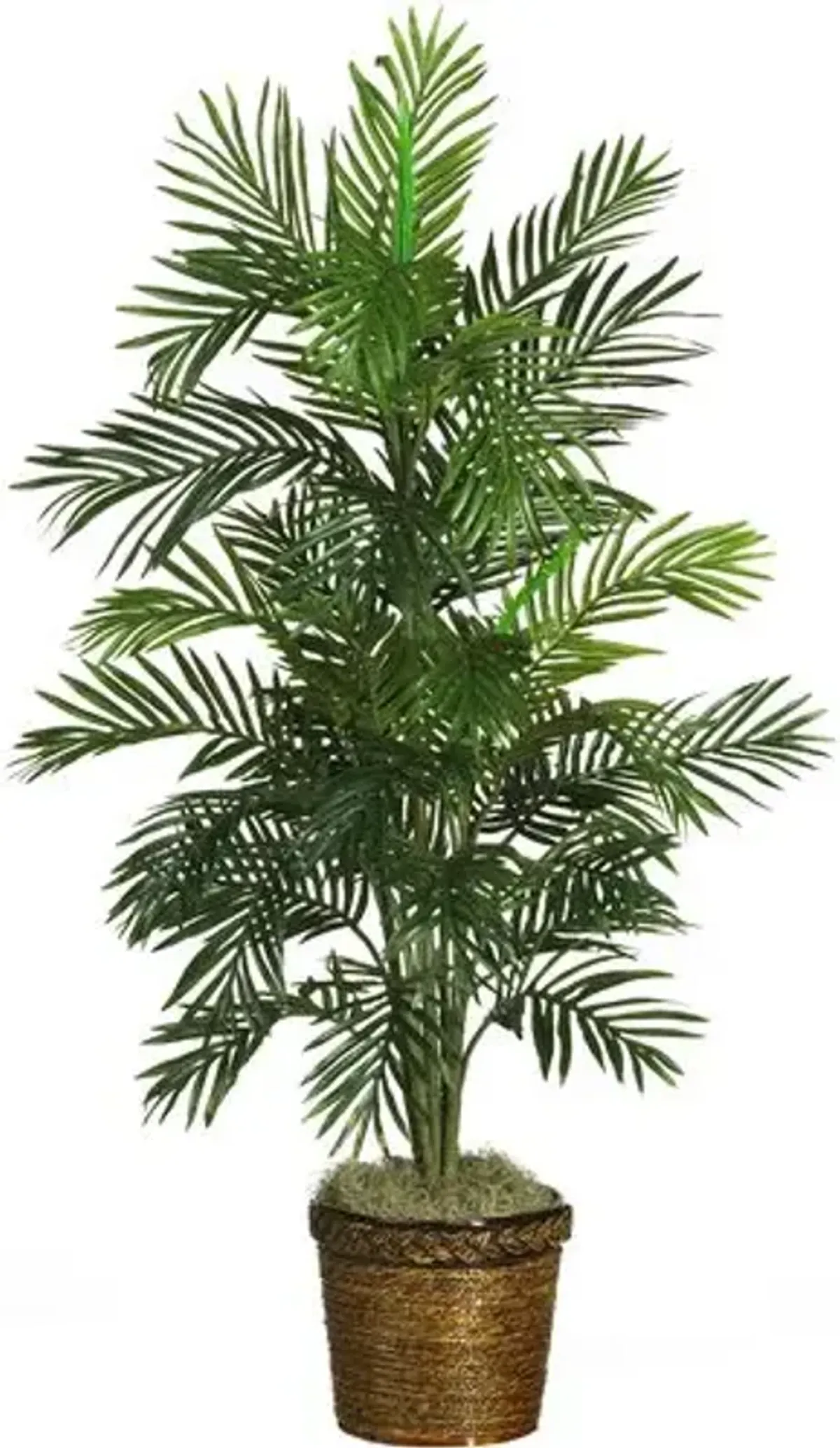 56" Faux Palm Tree - Green